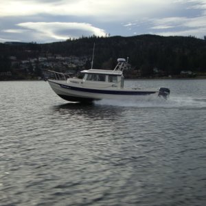 10 January 2010
Lake Whatcom, WA
'HOBBES'