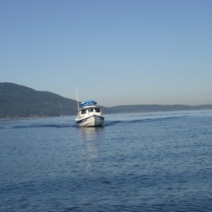 11 Sept 2007
Bellingham Bay 
    HOBBES
