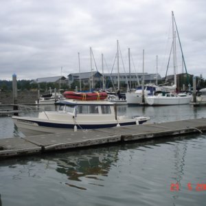 24 July 2007 Bellingham
     CORMORANT