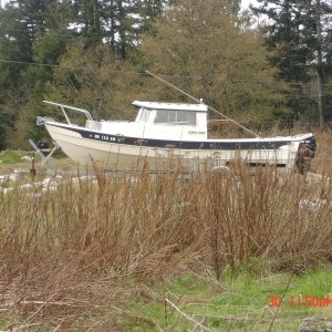 30 Mar 2007 Anacortes 
  Older Hunky Dory