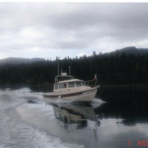 1 Oct 2006 Sequim Bay  
     KINGFISHER
