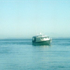 Aug 2006 
Near Matia Island 
   WILD BLUE