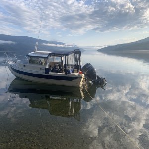 Morning after a big thunderstorm