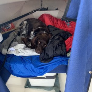 Gus?s favorite spot when under power