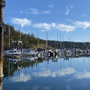 IMG 4569