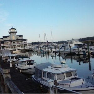 Picture of the marina at Smithfield.