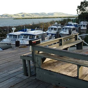 The lineup of boats at the Duck Club - Wheeler Island.