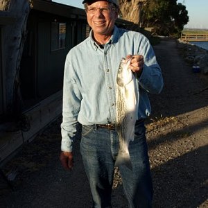 Yea Steve, A nice striped Bass.  Why didn't I bring my rod?