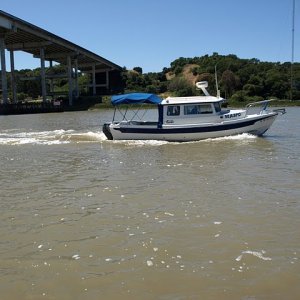 SEA3PO heads to Petaluma