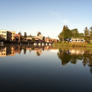 Long distance shot of lineup at Petaluma Harbor.
