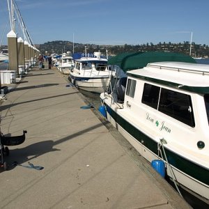 Lineup at Sausalito.