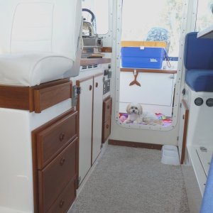 19. Cabinets  Installed