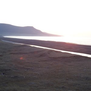 Unimak AK bear hunt 2009 041