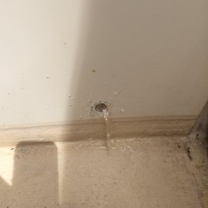 Zoe B Starboard Quarter