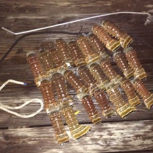 Lobster Mini Season Key West