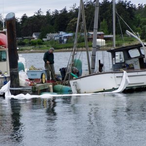 Raising Sunken Sonja