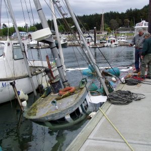 Sunk Sonja, C-Cakes in new mooring