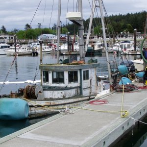 Sinkin Sonja coming up