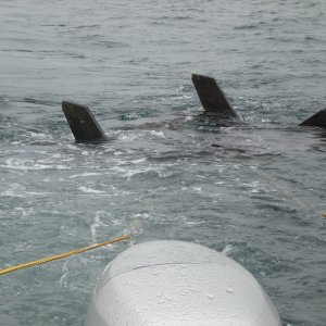 lopez 2007 photos 015