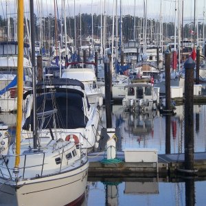 C-Cakes in Sidney marina