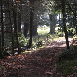 Newcastle Island Nanaimo BC