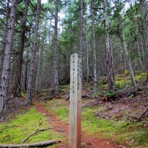 Cutoff to the Old Airstrip