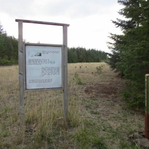 Old airstrip on Cypress
