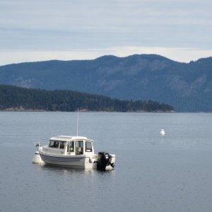 Sunday morning at Cypress Head