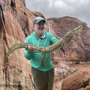 Lake Powell