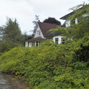 The T-Lock composite roofing made it past its warranty date.