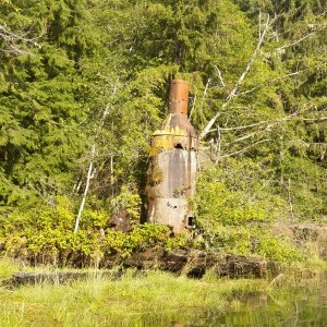 Abandoned steam donkey.