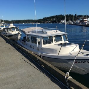 Media 'Late afternoon at Fiday harbor on a Saturday in Late July. Breakwater dock is about all thats left. Hey who's that on my tail?' in album 'Heading back out on a Saturday in late July after a morning of crabbing with a buddy.'