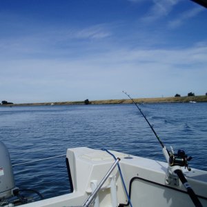 P1010004
