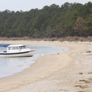 my calendar shot pt2