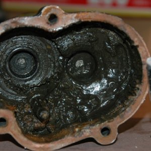 bottom of gearcase