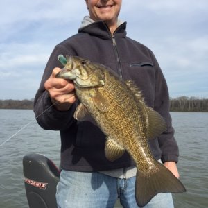 PickwickSmallie