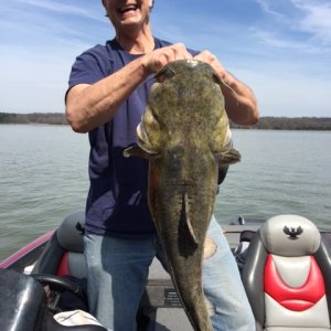 PickwickCatfish