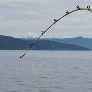 The suspense is killing me.....