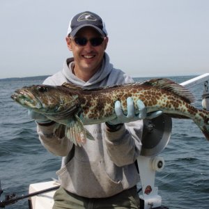 Matia Island Lingcod May 2011