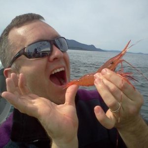 Sucia Island Shrimp May 2011