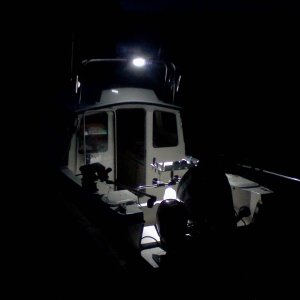 New flood light works great