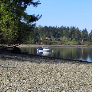 Eagle island
