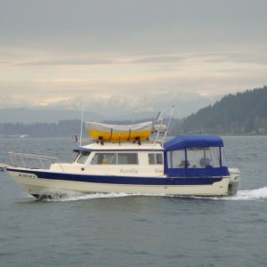 Bainbridge island in background taken southbound from sailing vessel Salpare