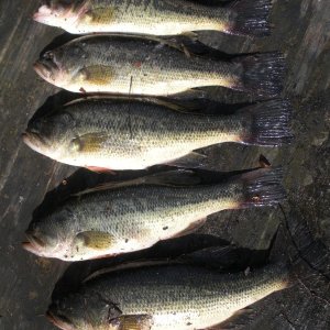 Dinner preparations: caught in 30 minutes.