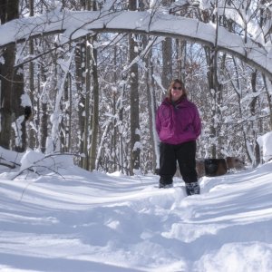 Snow arch in our woods / Feb 2010.  18" in one night!  This has been the snowiest Feb since records have been kept.