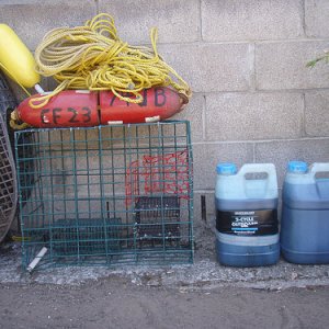 C-Dory Classic. OIL and Crab Pot ( cage )