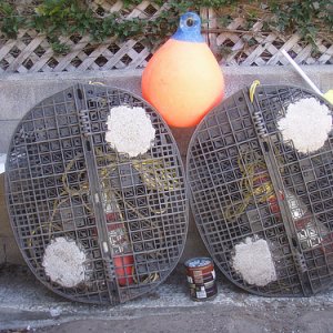 Two Sets of Crab Pots...hmm not too many crabs in Ontario Canada