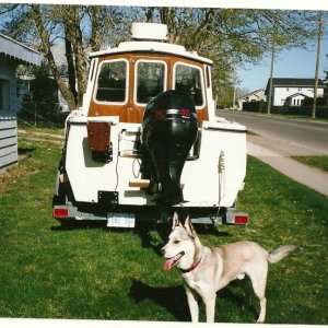 *Drifter* all cleaned and waxed 2010,stray dog dropped in to get his photo taken*