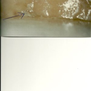 Anchor Rope Locker Re-Glassed.Arrow Shows Drain Tube  2010