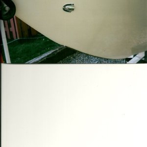 Drain Tube Clam Shell   2010